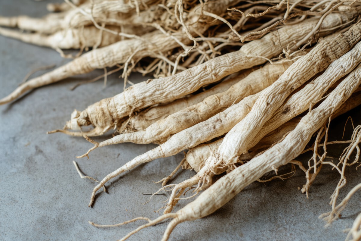 Sibirischer Ginseng wirkt stressreduzierend und antidepressiv